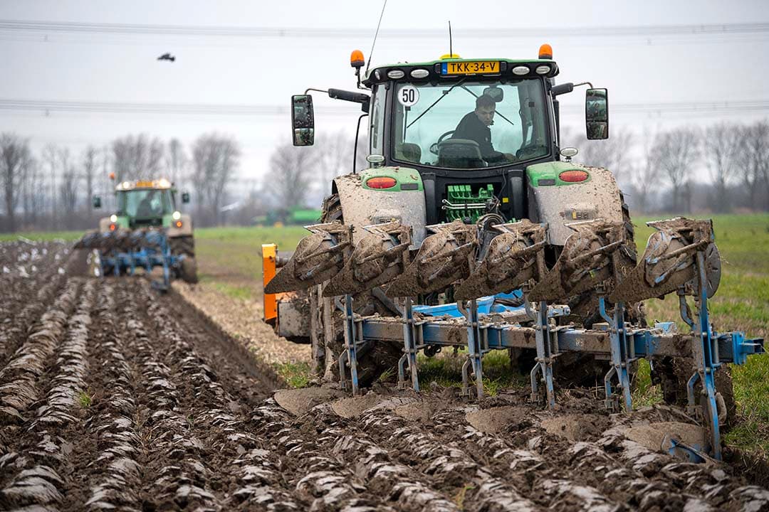 De Europese Commissie stelt dat lidstaten makkelijker uitzonderingen mogen geven op regels voor bodembedekking, ploegen en gewasrotaties in bepaalde gebieden, onder buitengewone omstandigheden. - Foto: Mark Pasveer