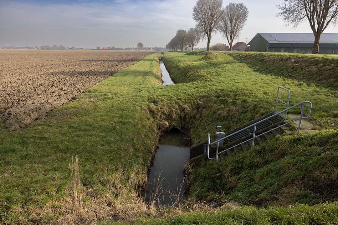 De Europese Commissie heeft aangekondigd een aantal basisvoorwaarden voor het GLB te willen versoepelen.  - Foto: Peter Roek