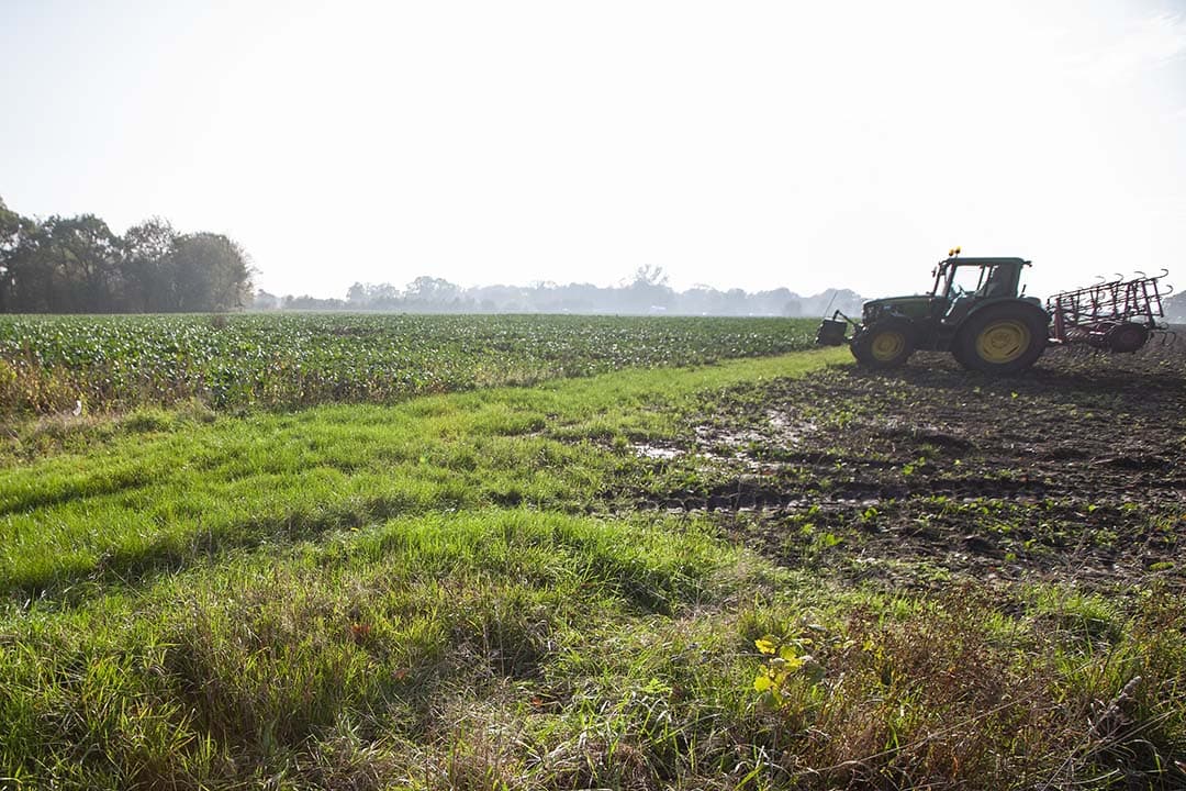 Recht van overpad blijft gelden, zelfs zonder traditionele landbouwactiviteiten. Een belangrijke beslissing voor agrarisch recht. - Foto: Hans Banus
