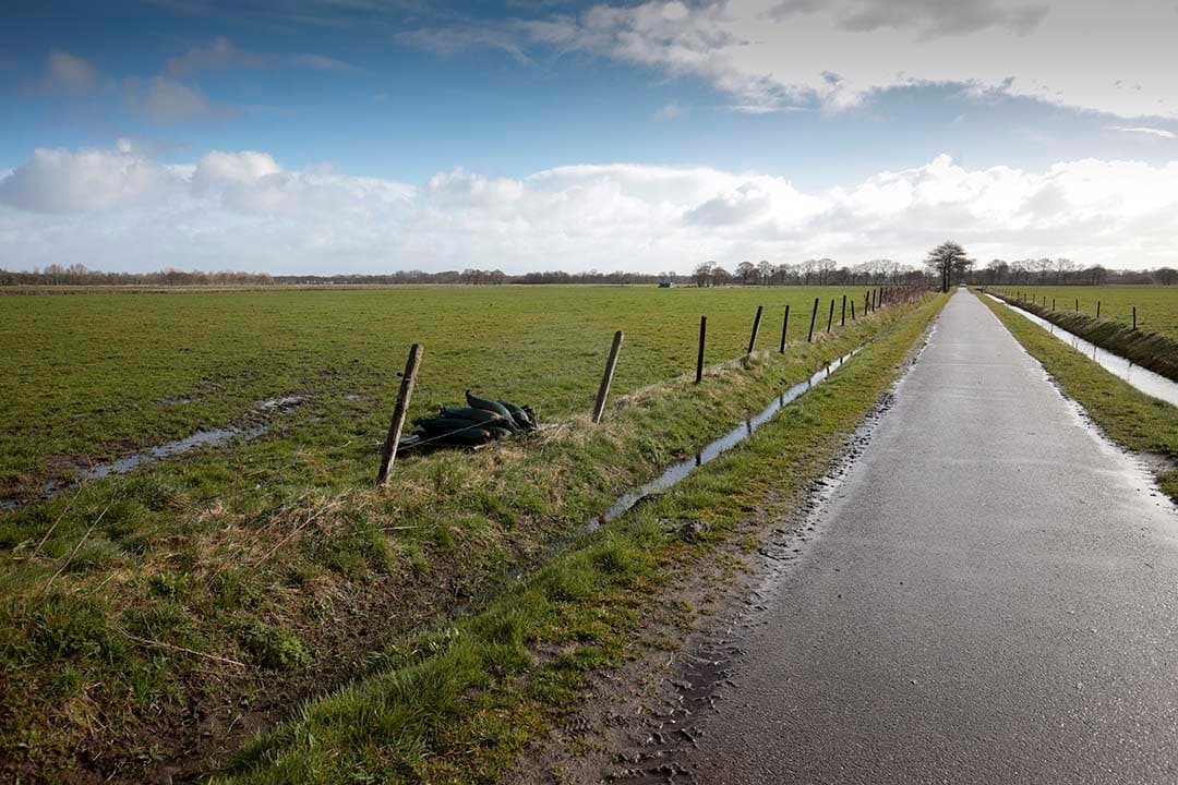 In het segment van de melkveehouderijen daalde het aantal verkochte bedrijven bij NVM-makelaars licht in 2023. Toch bleef de vraag naar grond onverminderd hoog. - Foto: Jan Willem van Vliet