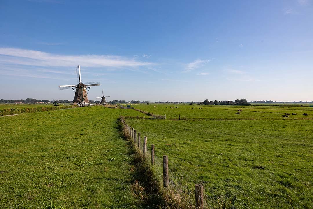 landbouwvrijstelling