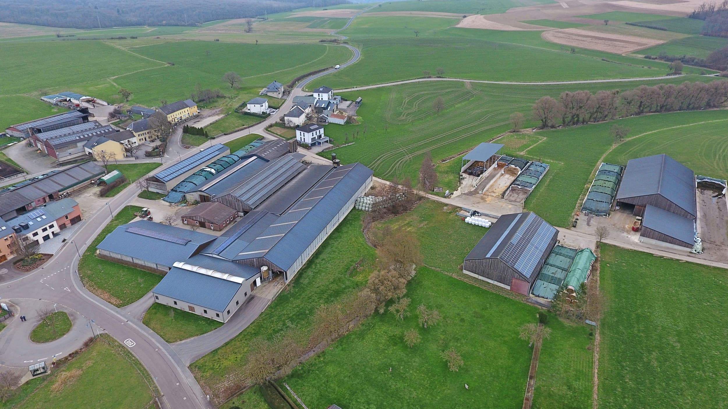 De jongveestallen staan links op de foto. In het midden de melkveestallen, met op de voorgrond het tanklokaal. Rechts de hooiopslag, de sleufsilo’s en de machineberging. Foto’s: Henk Riswick