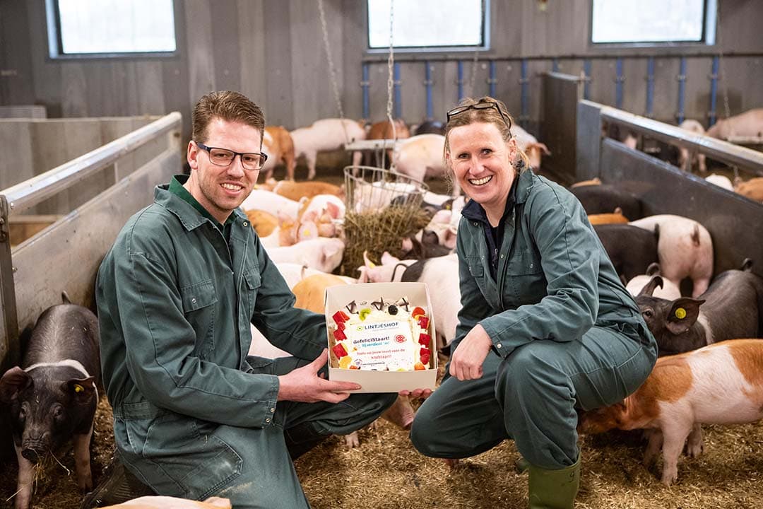 Varkenshouder Bert van der Vegt krijgt een taart van dierenarts Esther Krooshoop. Varkenshouders die goed bezig zijn en inzet tonen met het houden van varkens met een krulstaart worden in maart in het zonnetje gezet. - Foto: Ronald Hissink