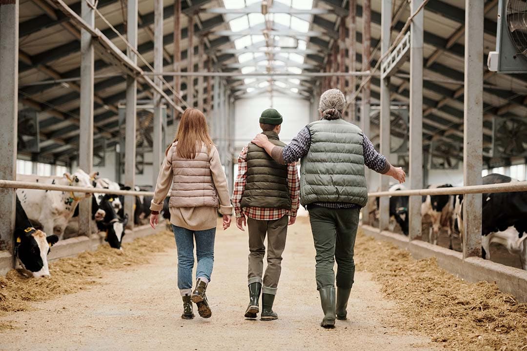 Kun je wel succesvol zijn als je rustig afbouwt en ’uitboert’ en er geen bedrijfsopvolger klaarstaat? - Foto: Canva