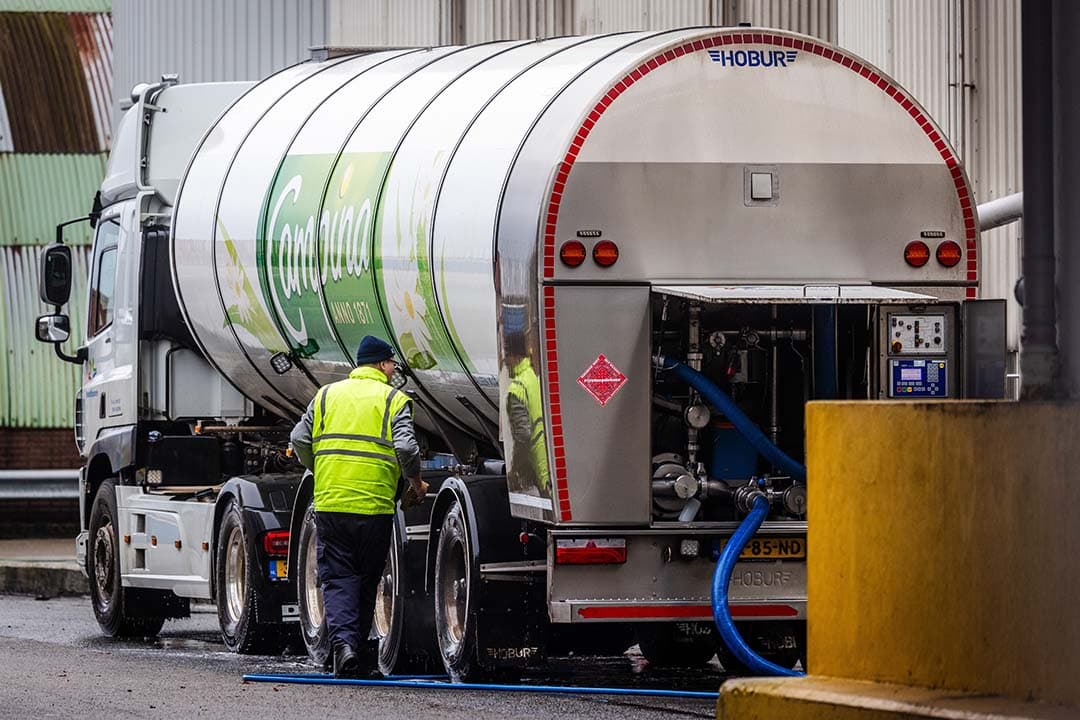 Alleen in België groeide het aantal FrieslandCampina leden-melkveebedrijven, met 25 nieuwe tot 49, en steeg de melkaanvoer van 41 naar 54 miljoen kilo. - Foto: ANP