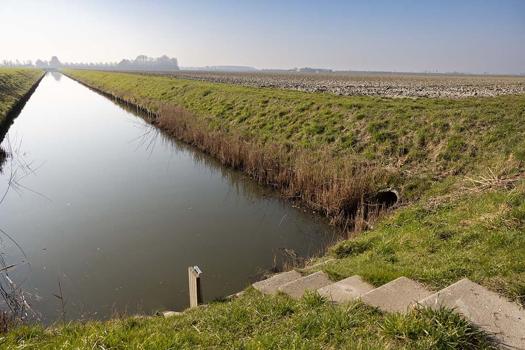 Gemeenschappelijk Landbouwbeleid