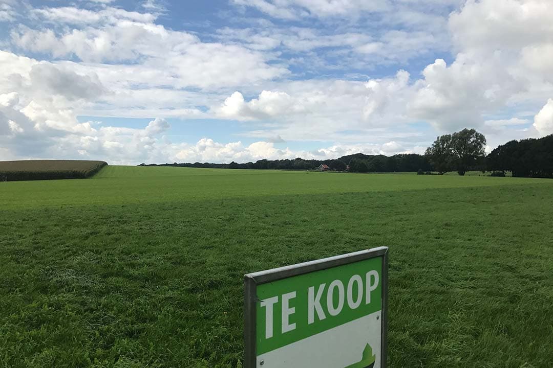 De lijn van de prijsontwikkeling van grasland loopt de laatste vier maanden heel licht omhoog. - Foto: Martijn ter Horst