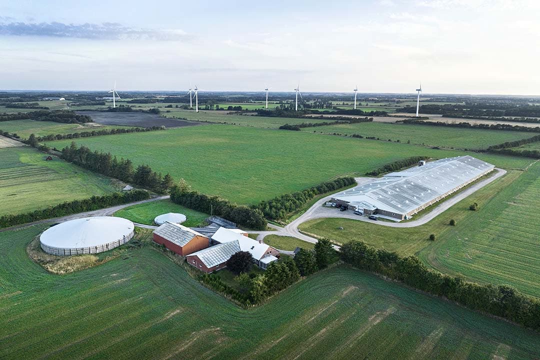 Een Deense deskundigencommissie heeft voorgesteld om in landbouw en veeteelt een eigen Deense belasting op luchtvervuiling in te voeren. Alleen op die manier kan het land over een paar jaar voldoen aan internationale klimaatverdragen, zo wordt geconcludeerd. - Foto: Misset/Niels Hougaard