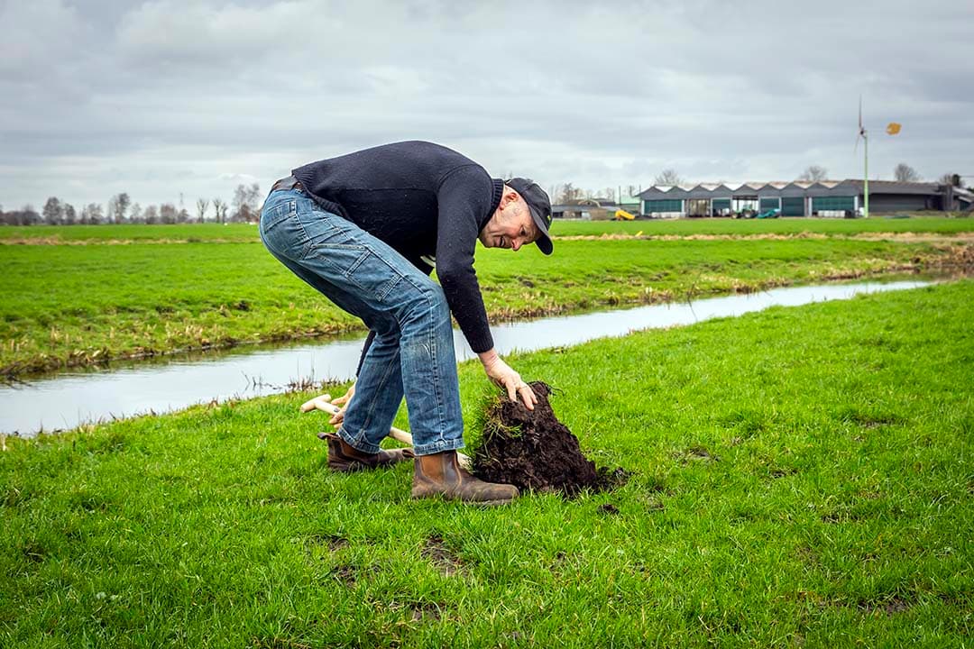 Melkveehouder Marinus de Vries (66) in klei doet mee aan een onderzoeksproject. Hij doet ervaring Op zijn veengrond wordt beproefd wat het effect is van klei toevoegen. - Foto's: Dennis Wisse