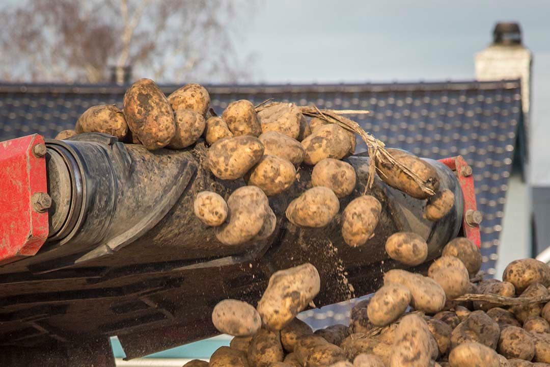 Foto: Koos Groenewold