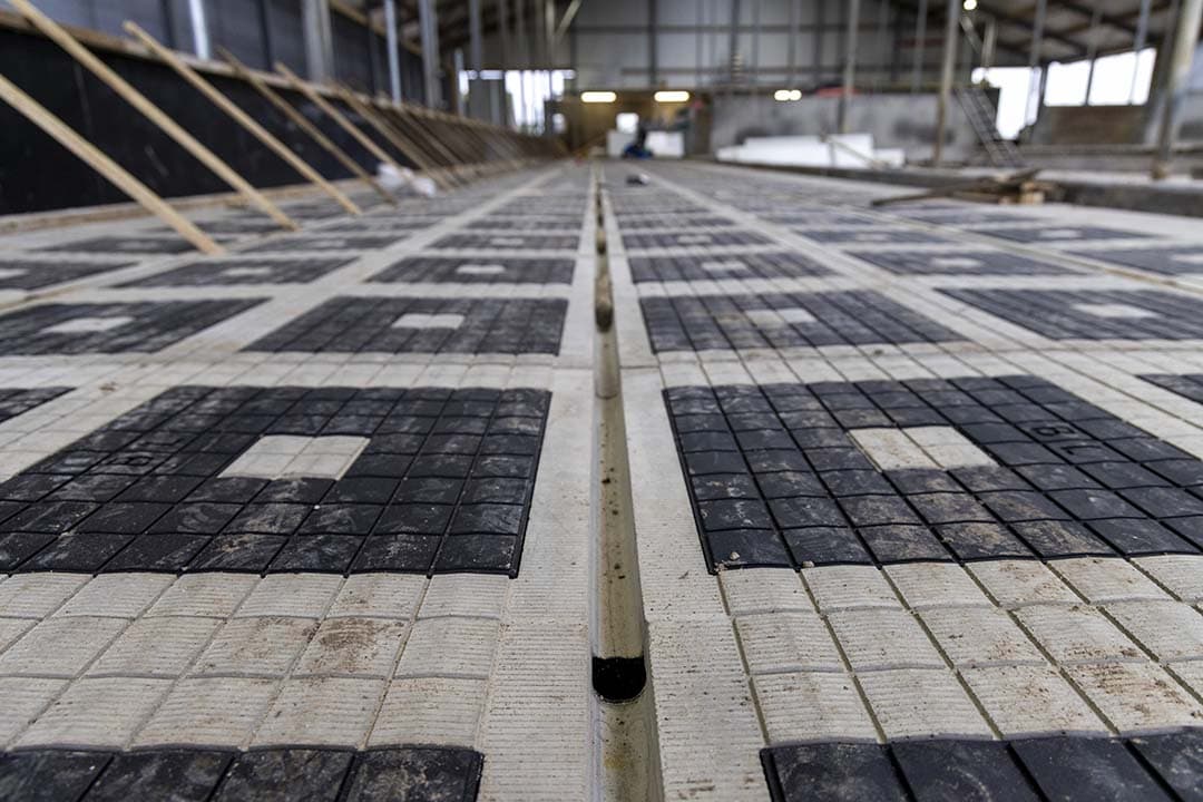 De Bleu Labelvloer ligt op afschot. Door middel van sleuven worden urine en mest gescheiden. De rubbertegels zorgen voor een betere beloopbaarheid door koeien. - Foto: Koos Groenewold