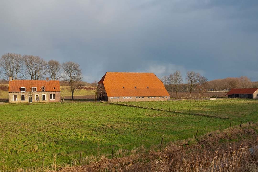Een hoeve onder hoevepacht, met landbouwgrond en bijbehorende bedrijfsgebouwen die centraal staan in de bedrijfsvoering. - Foto: Canva