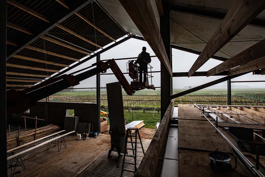 Onderzoekers van onder andere het Planbureau voor de Leefomgeving onderstrepen de noodzaak van een langdurige inzet voor de landbouwtransitie, met de focus op stalinnovaties, vermindering van de veestapel, en verbeteringen in veevoer, als essentiële stappen naar het realiseren van milieu- en klimaatdoelen. - Foto: Ronald Hissink