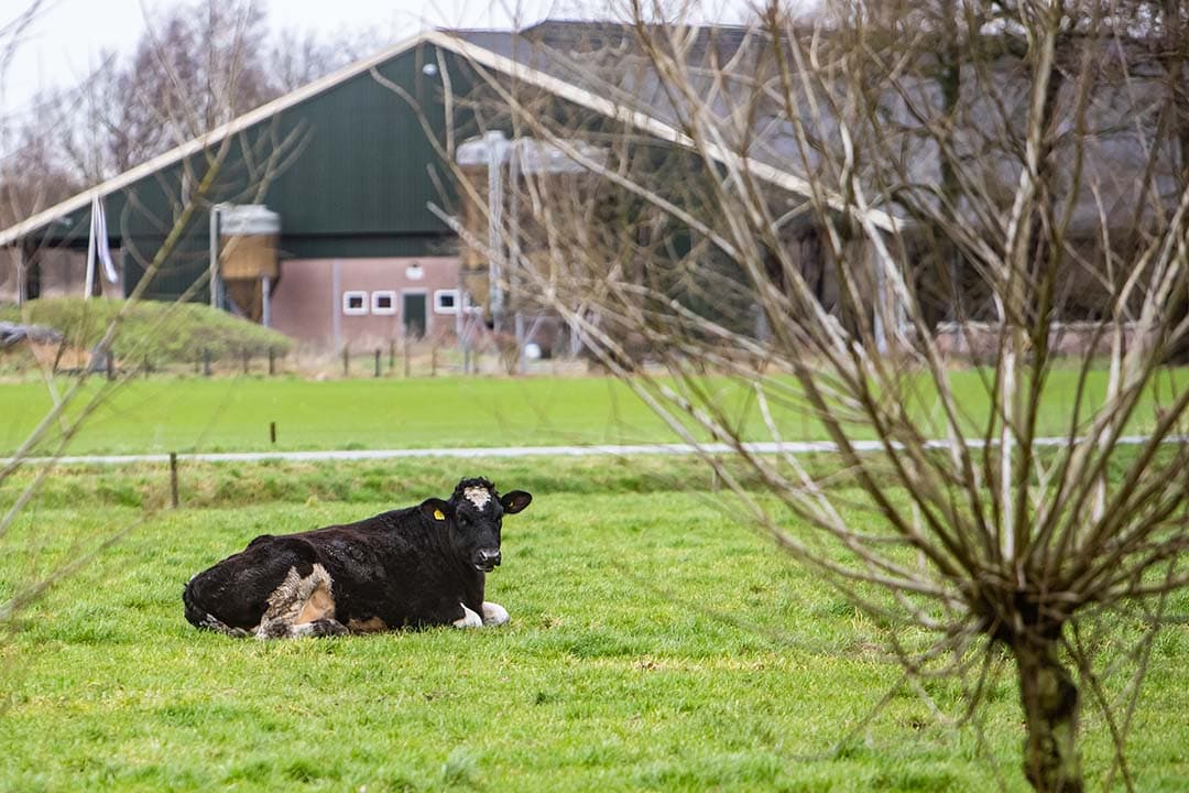 Overijssel landelijk gebied