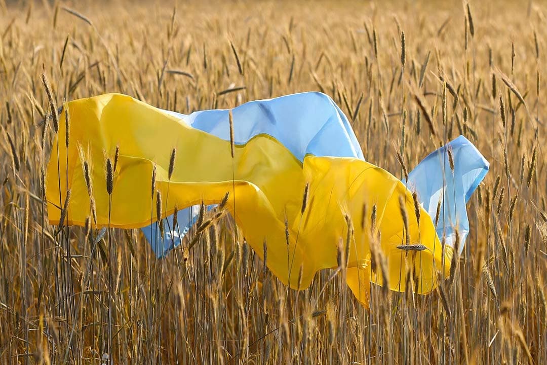 De soepele importregels voor Oekraïne, onder andere voor granen, zijn onderdeel van een brede steun van de EU aan Oekraïne, vooral in reactie op de Russische invasie die in februari 2022 begon. - Foto: Canva