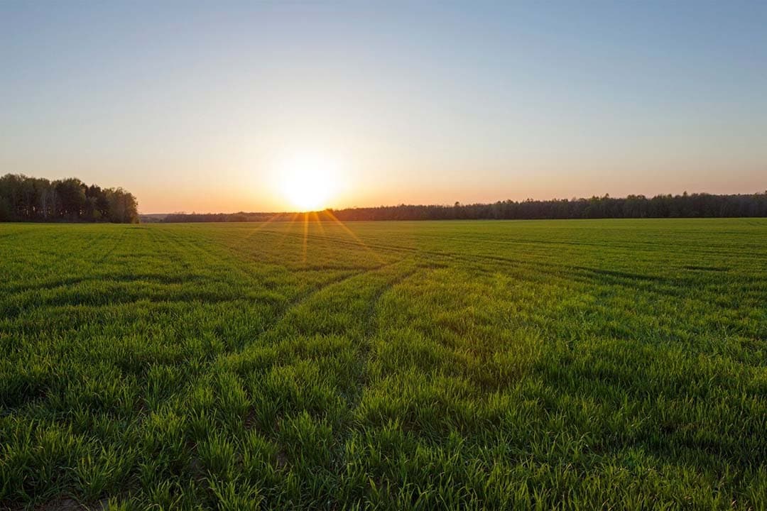 De stikstofwet stelt de kritische depositiewaarde (KDW) als resultaatsverplichting om in 2035 74% van de stikstofgevoelige natuur te beschermen, maar deze aanpak stuit op weerstand omdat het niet alle aspecten van natuurkwaliteit adresseert en uitstoters beperkte controle hebben over waar hun emissies neerslaan. - Foto: Canva