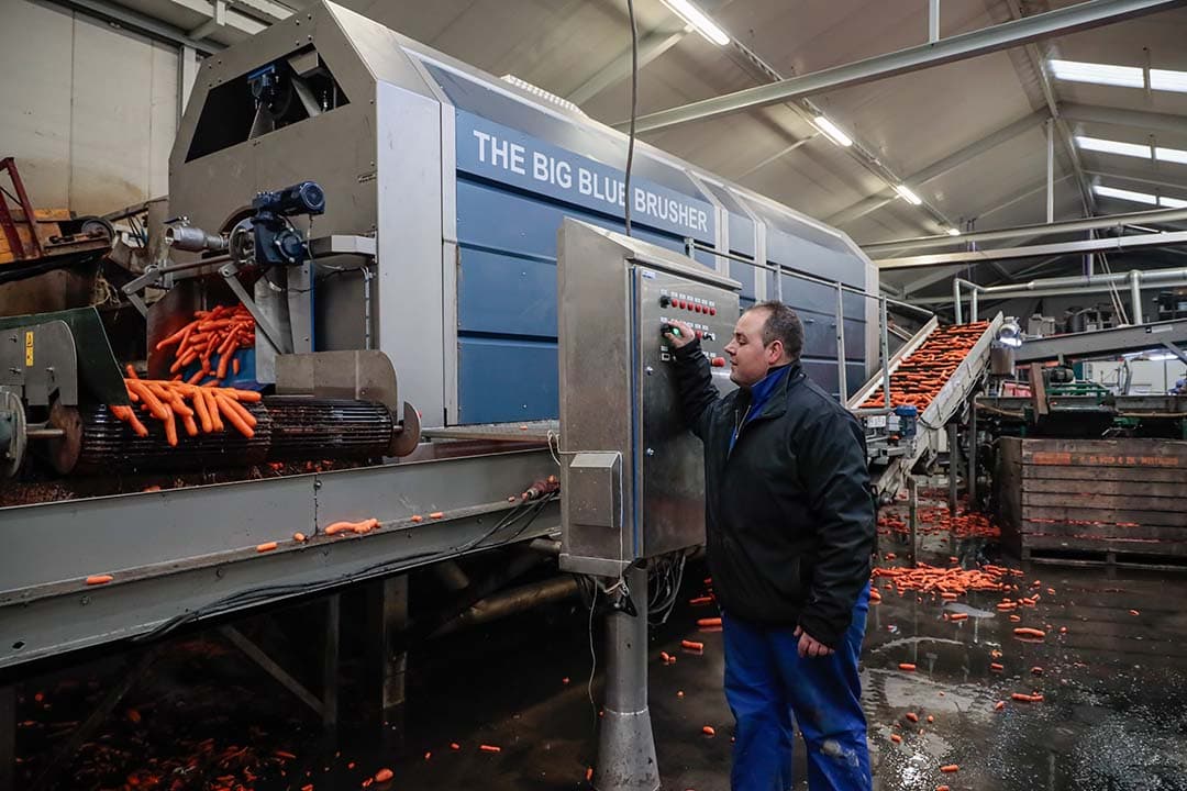 Willem de Boer bij de grootste polijstmachine ter wereld, mede door hem ontworpen. De natuurlijke weerstand van de schone peen is na het polijsten weg.