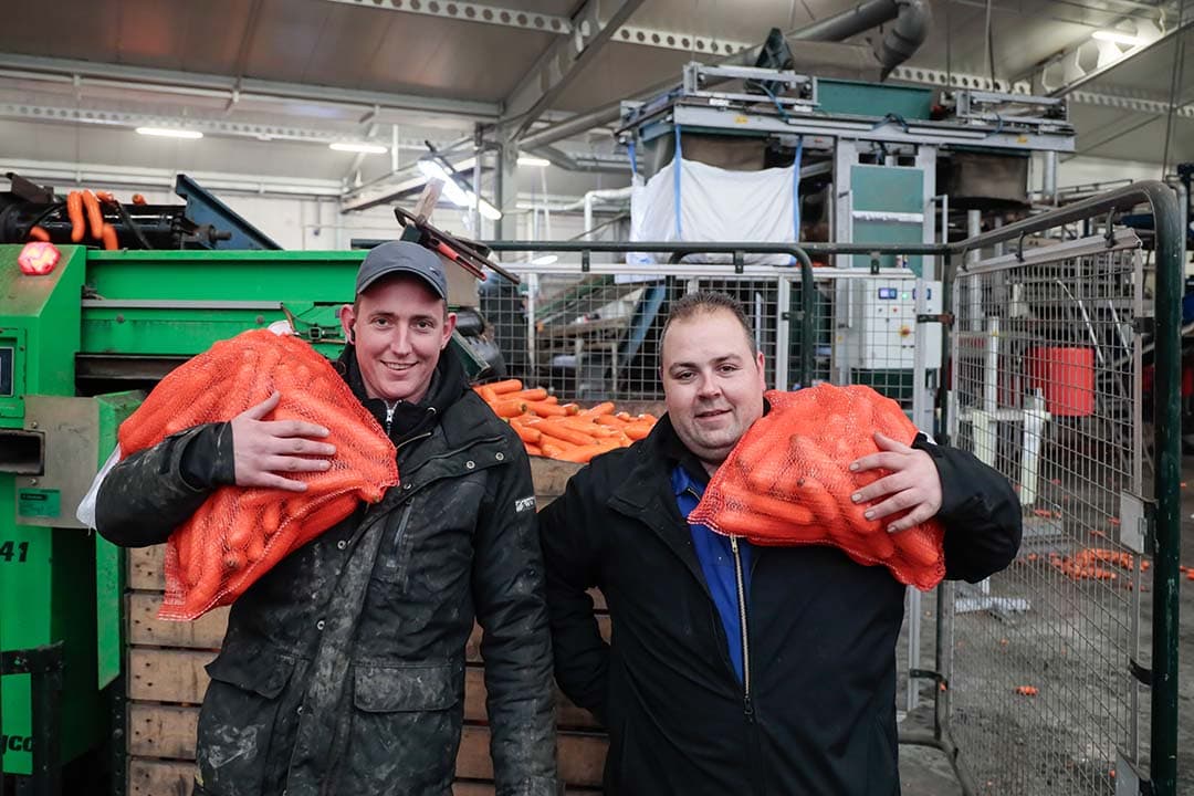 uitdagingen bij teelt van peen