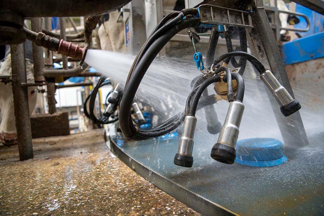 Wie hangt er met de huidige hoge melkprijs het melkstel nog aan de wilgen? - Foto: Mark Pasveer