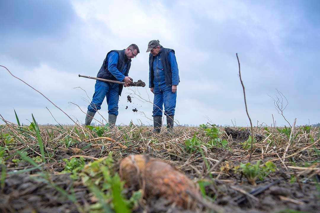 Koos en Hilko Bos in Oldehove (Gr.) bekijken hoe hun NKG- grond er na de extreem natte winter bijligt. Hun conclusie is dat de grond erg nat is maar dat de structuur zich goed heeft gehouden. - Foto: Mark Pasveer