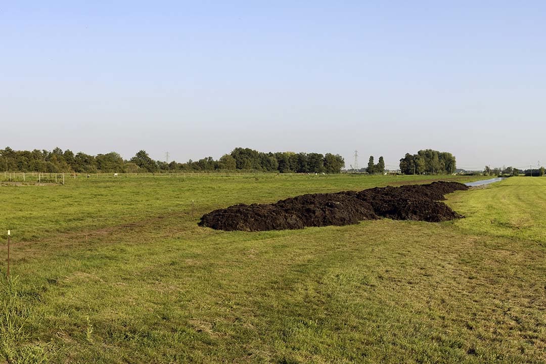 Europese Natuurherstelwet