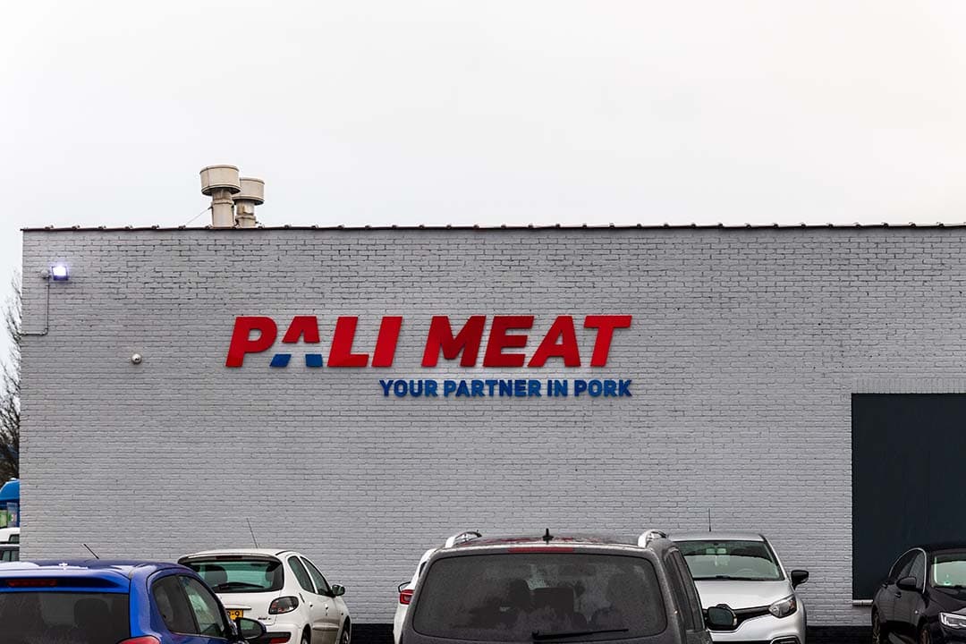 Pali Group draagt varkensslachtactiviteiten over aan Compaxo, - Foto: ANP