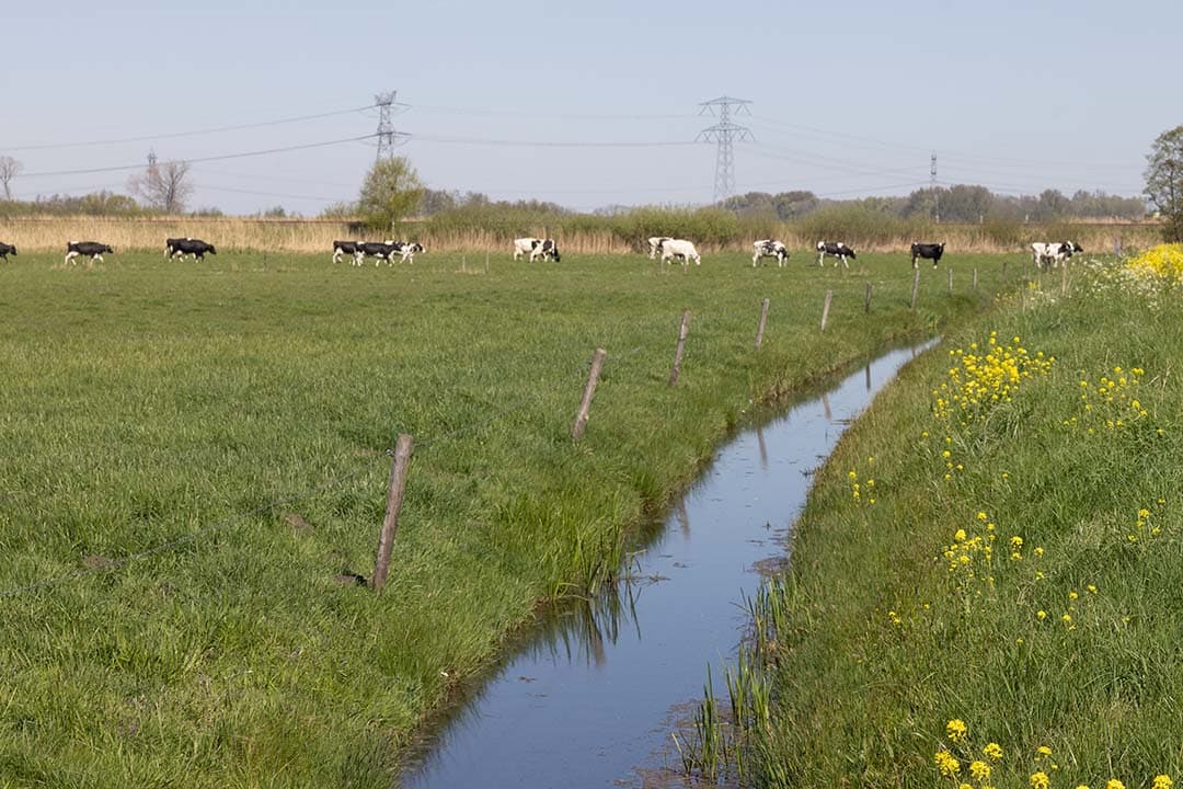 MVO Nederland natuurlijk boeren