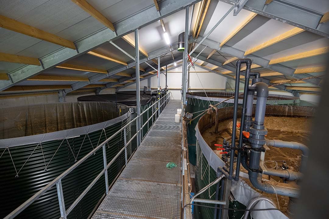 Total Circulair Farmconcept (TCF) emissies