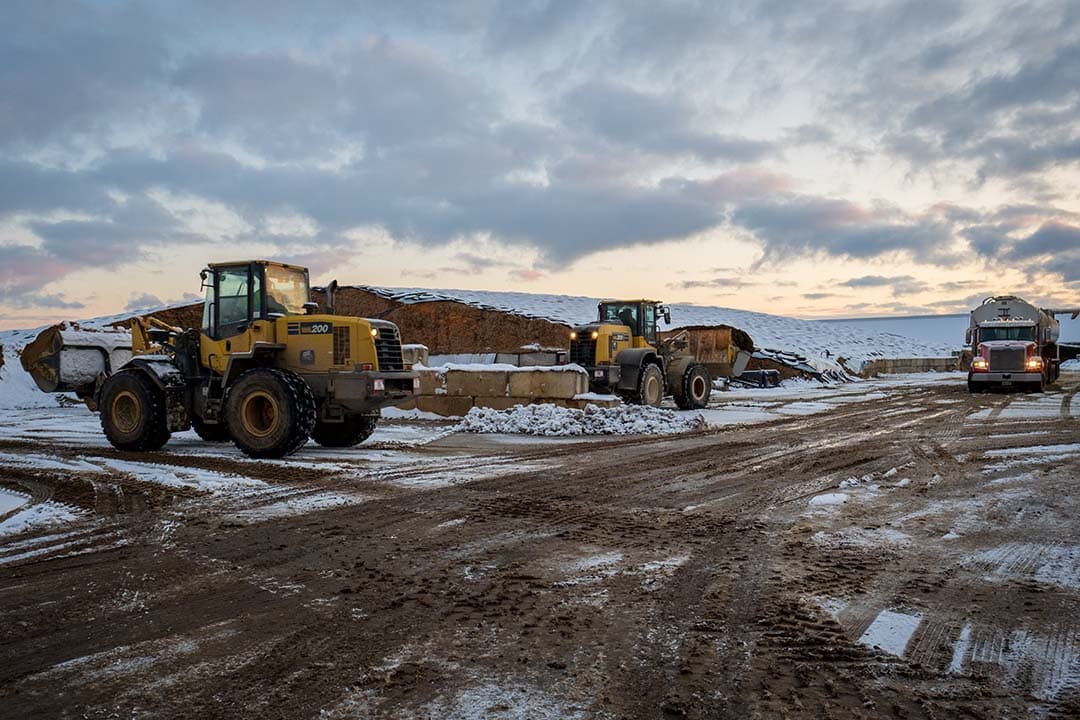 Voer halen gaat de hele dag door. Het bedrijf heeft 800 hectare in gebruik voor ruwvoerwinning en is daarmee voor tweederde zelfvoorzienend.
