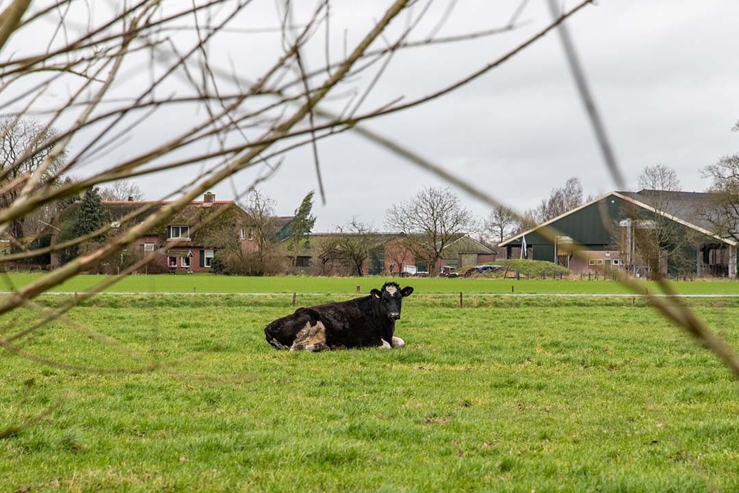 De provincie Overijssel wil nog eens € 3,8 miljoen uittrekken om een begin te maken met de aanpak van het landelijk gebied. - Foto: Ronald Hissink