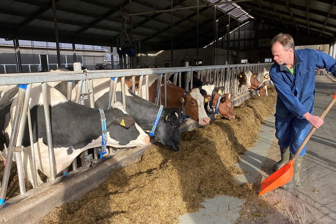Niels Wassenaar bij het voerhek. – Foto's: Bonda