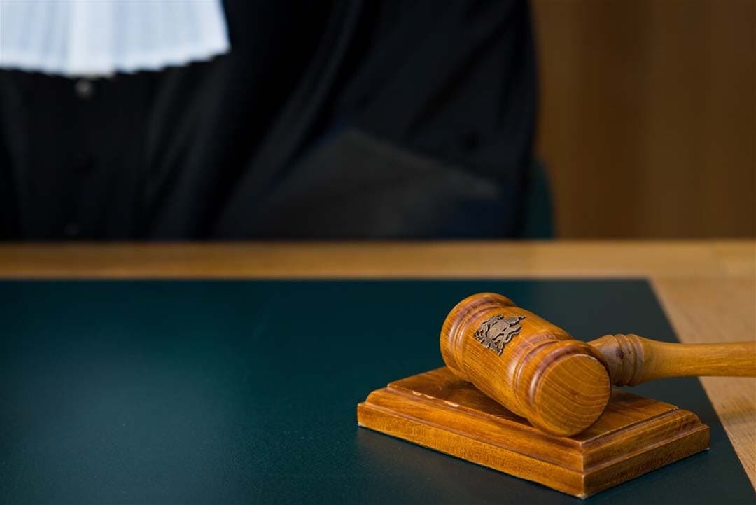 MOB, met Johan Vollenbroek, blijft rechtszaken aanspannen tegen elke vergunningsaanvraag. Ze blijven ook structureel winnen, omdat hij stelt dat je 100% moet kunnen bewijzen of iets wel of niet schadelijk is voor de natuur. - Foto: ANP