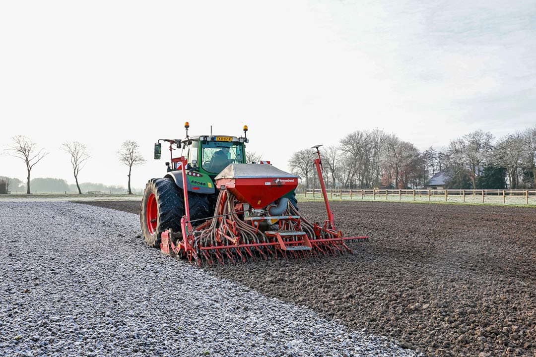 Wereldvoedselorganisatie FAO verwacht wereldwijd een kleine teruggang in het areaal wintertarwe. - Foto: Koos van der Spek