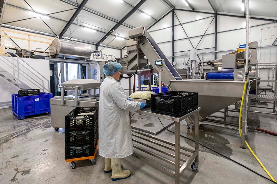 Het bewerken van groenten bij het bedrijf Botmas.  Dit zorgt voor jaarrond meer inkomsten en alleen al door het schillen van aardappelen wordt de omzet op de aardappelen verdubbeld, zo geeft de ondernemer aan. - Foto's: Anne van der Woude