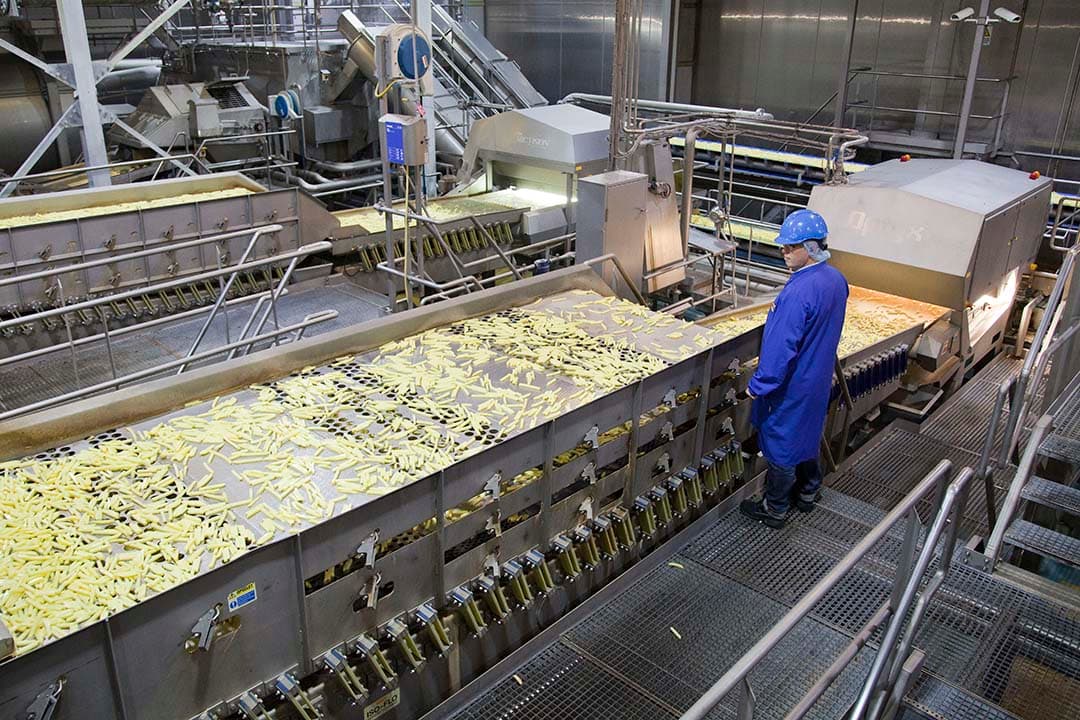 Foto: Jan Willem Schouten