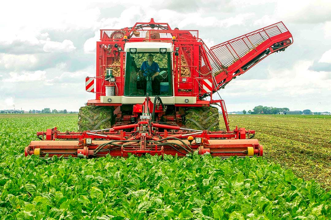 Dr. Raymond Klaassen, ecoloog aan de Universiteit van Groningen, ergert zich aan de monoculturen van suikerbieten, zetmeelaardappelen en graan. - Foto: Koos van der Spek