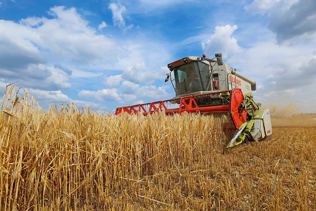 De korrelopbrengsten van wintergerst zijn de laatste jaren sterk gestegen. Daar hoort een hogere stikstofgift bij. - Foto: Henk Riswick