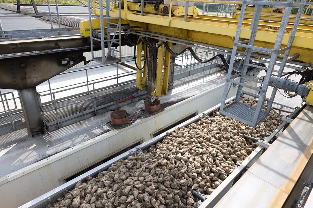 De suikerfabriek van Cosun in Dinteloord. - Foto: Peter Roek