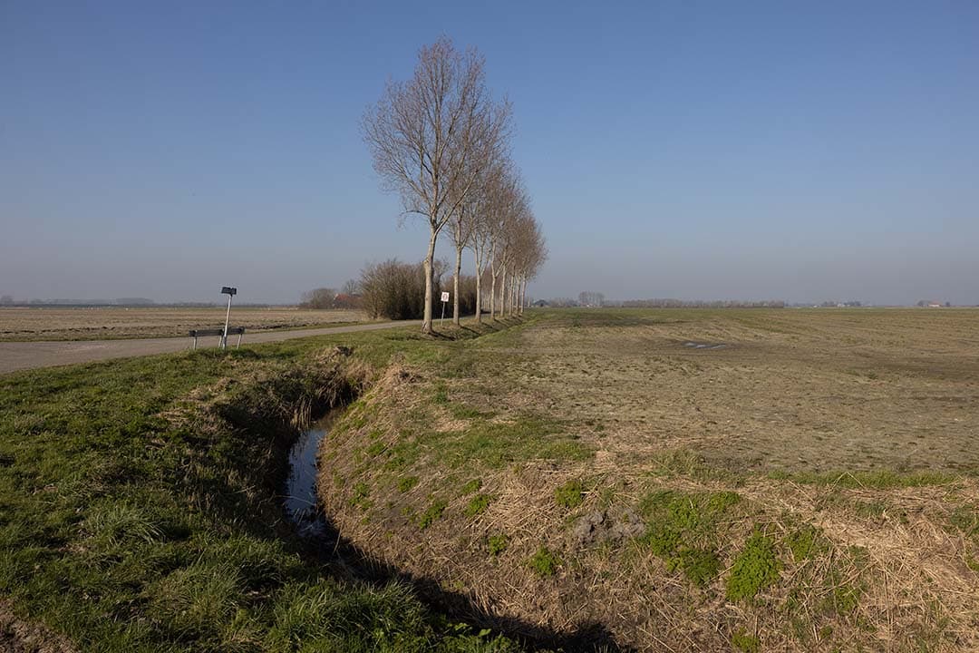 De belangstelling voor deelname aan de eco-regelingen van het GLB was in 2023 groter dan verwacht, waardoor de aanvragen het beschikbare budget ruimschoots overtrof - Foto: Peter Roek