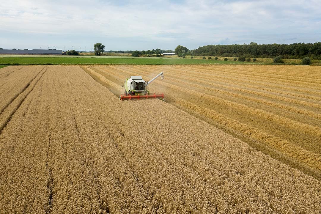 Foto: Peter Roek