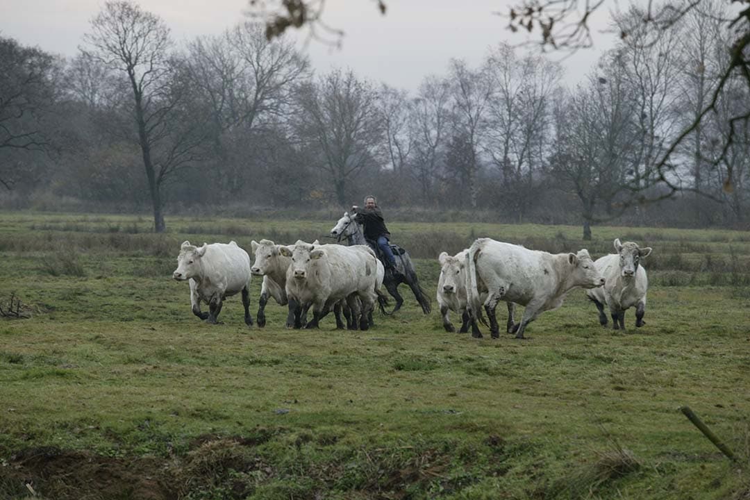 overgang succesvolle carrière naar politiek