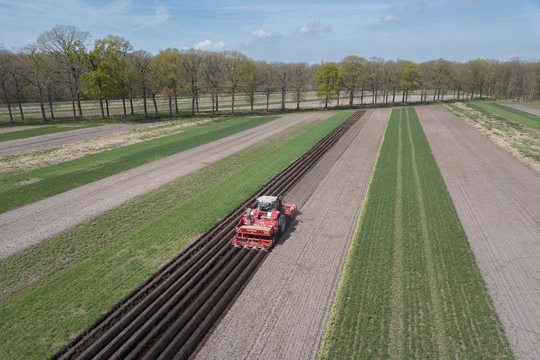 Aardappelen poten in stroken. Strokenteelt is een eco-activiteit. Boeren kiezen zelf de eco-activiteiten die passen bij hun bedrijf, met als doel voldoende punten te verzamelen voor het behalen van een eco-premie. - Foto: Peter Roek