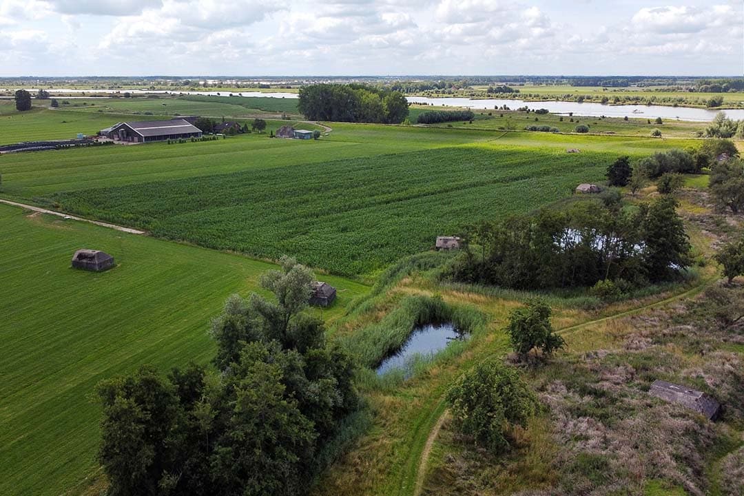 Foto: Herbert Wiggerman