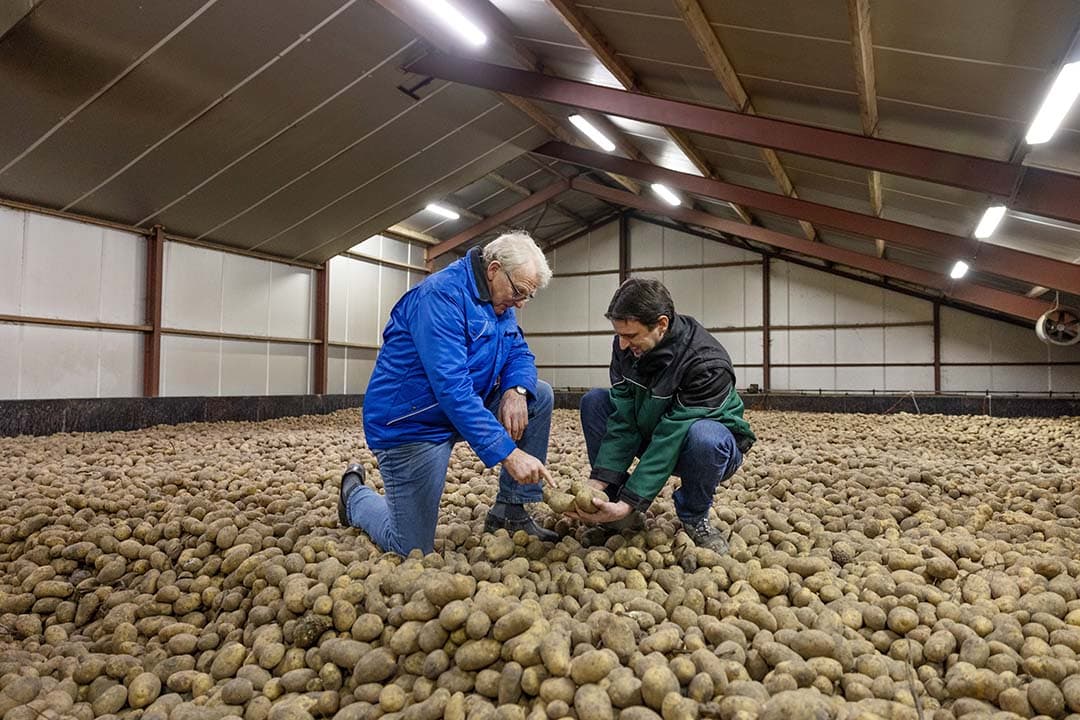 Chris Klaasse Bos (r) en zijn vader Gerrit constateren dat de vroeg in het seizoen ingeschuurde Challengers zich goed houden. - Foto's: Herbert Wiggerman