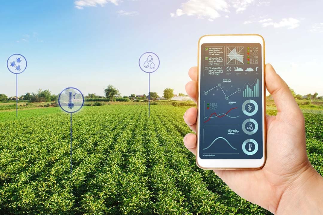 Subsidieprojecten onder het Europees Innovatie Partnerschap (EIP) focussen op technologische, sociale, en organisatorische innovaties voor landbouw en plattelandsontwikkeling, waarbij zij bijdragen aan duurzame landbouw en een levendig platteland. - Foto: Canva/Getty Images