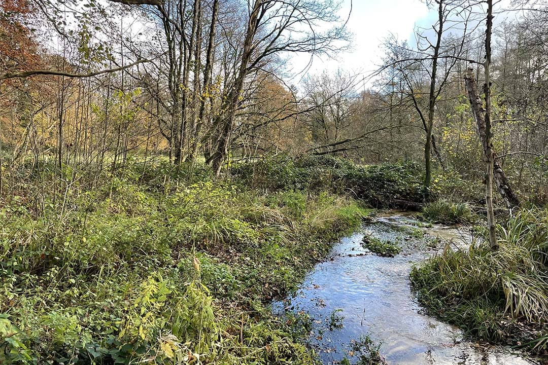 Het NPLG omvat Europese afspraken voor natuurbehoud en herstel, alsook verplichtingen betreffende waterkwaliteit en -beschikbaarheid. - Foto: Martijn ter Horst