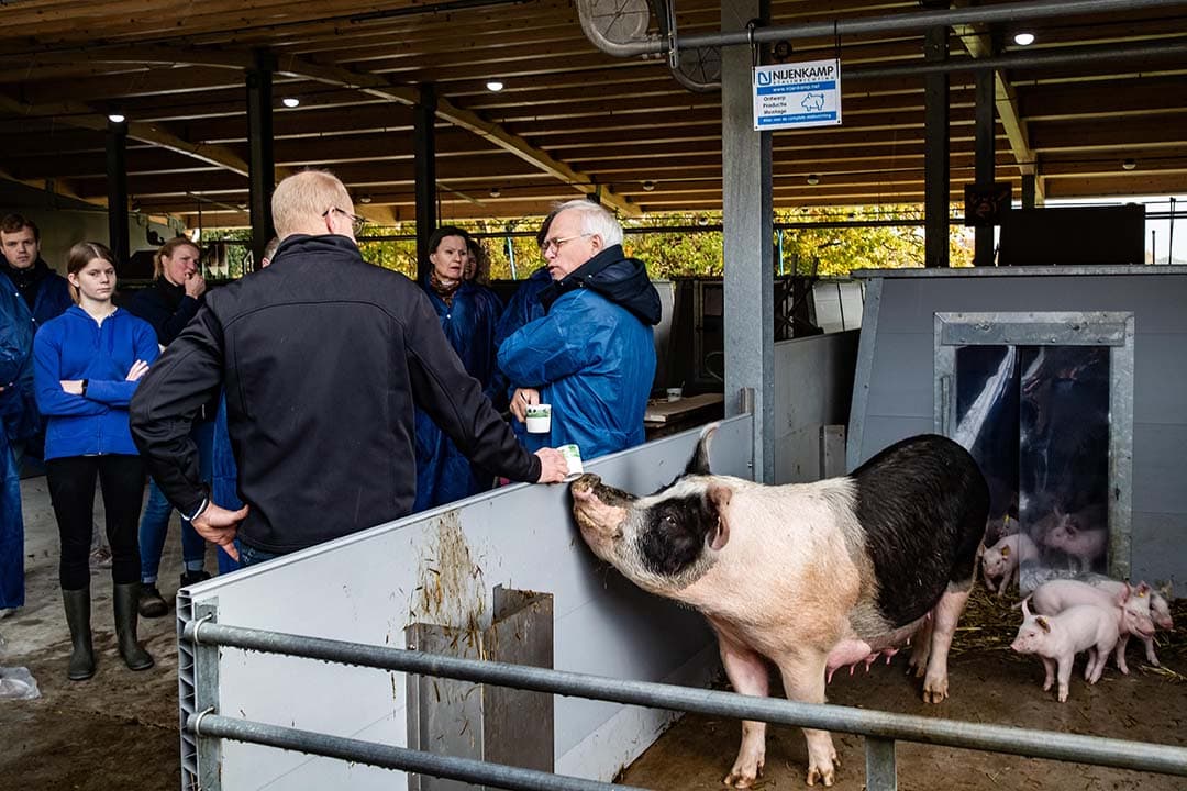 problemen biologische sector
