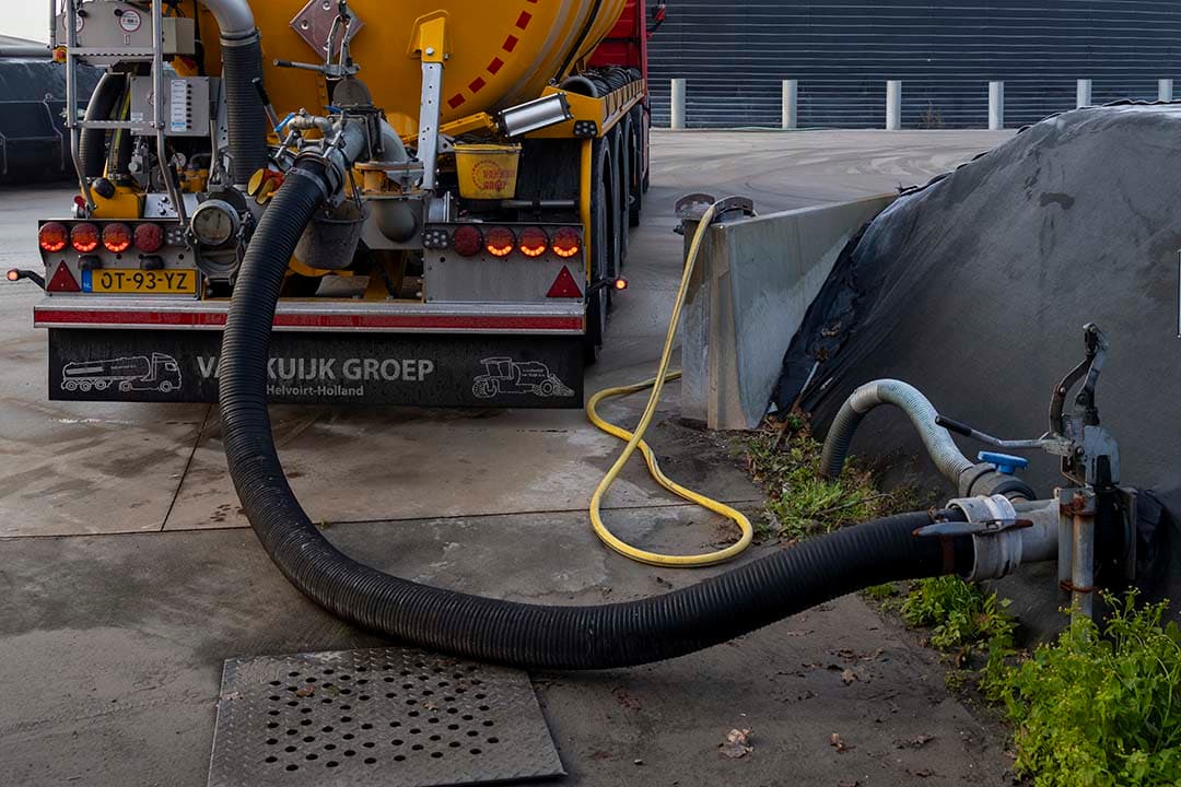 De prijzen voor mestverwerking schieten omhoog dit jaar. - Foto: Bram Becks