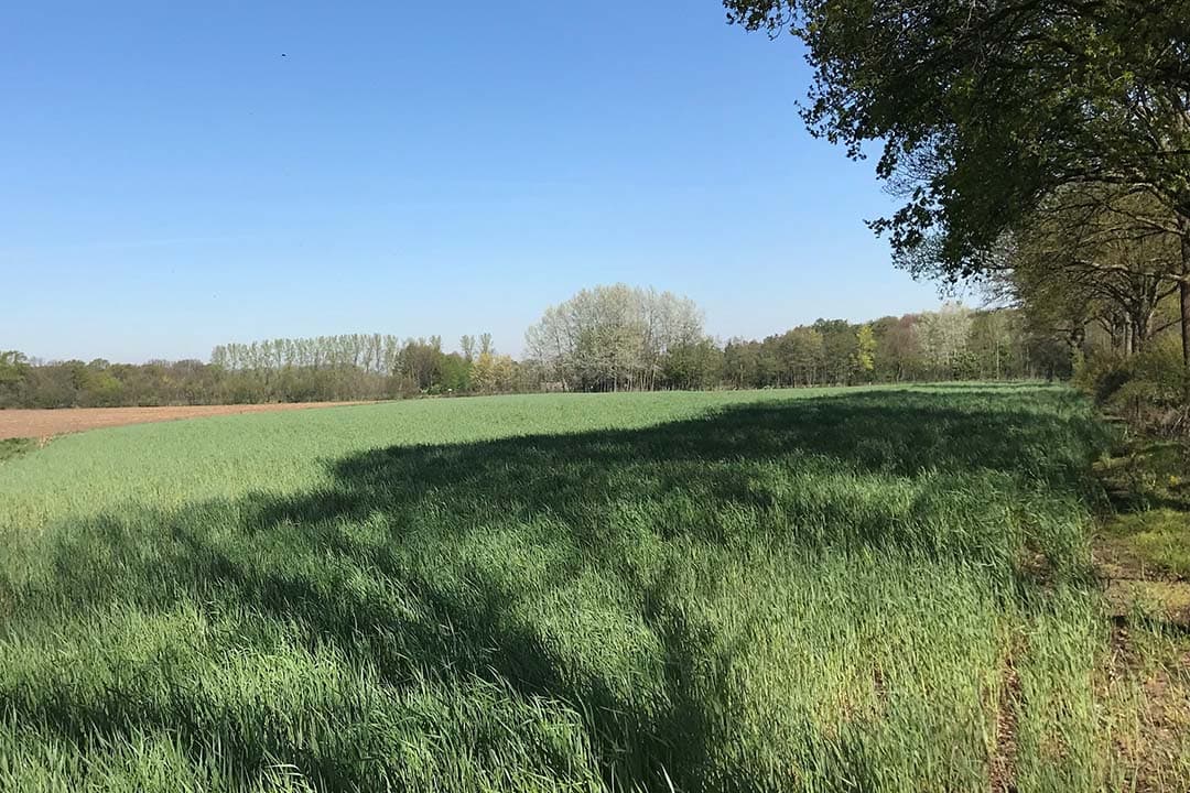 Volgens Eurocommissaris Maroš Šefčovič is er de laatste tijd zoveel op de boeren afgekomen dat Brussel het niet kan maken om het strenge beleid af te dwingen. - Foto: Martijn ter Horst
