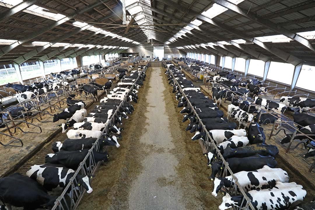 landbouwemissies denemarken